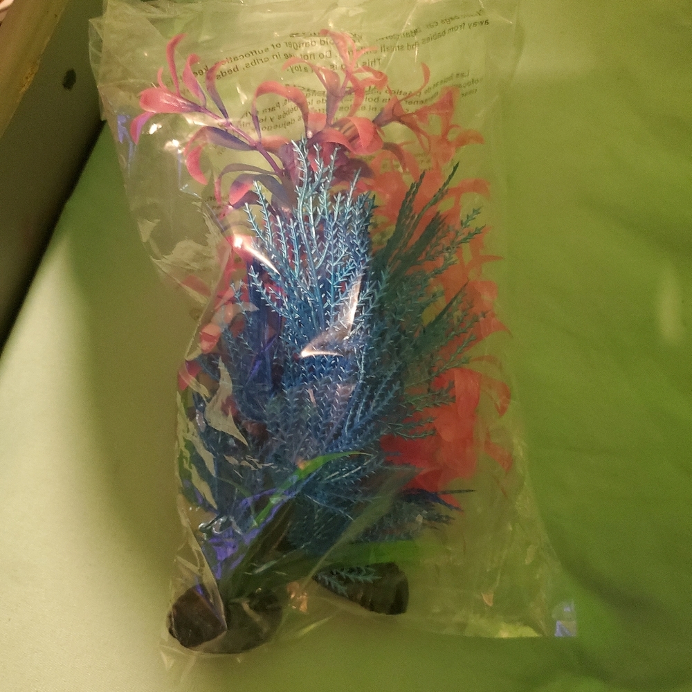 Fish tank - Picture 4 of 4